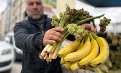 Van’da Uçkun Tezgâhlarda: “Yayla Muzu”nun Fiyatı İthal Muzu Geçti