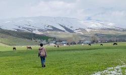 Ağrı Patnos’ta İki Mevsim Bir Arada: Ovalar Bahar, Zirveler Kar Altında
