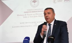 Malatya Kayısısında Alarm: Pestisit ve Okratoksin Uyarısı İhracatı Tehdit Ediyor