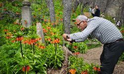 Doğaseverler 1700 Kilometre Yol Kat Edip Bu Güzelliği Görmeye Geldi