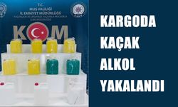 Muş’ta kargo gönderisinde 55 litre etil alkol ele geçirildi