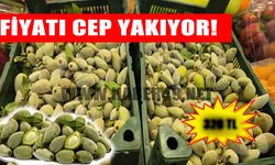 Muş’ta baharın ilk meyvesi çağla cep yakıyor: Kilosu 320 TL