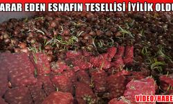 Muş’ta soğan ve patates satıcıları sezonu zararla kapattı