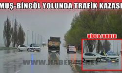 Muş-Bingöl karayolunda kaza