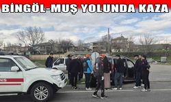 Bingöl-Muş karayolunda trafik kazası: 7 yaralı