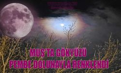 Muş’ta görsel şölen: ‘Pembe Dolunay’ gökyüzünü aydınlattı