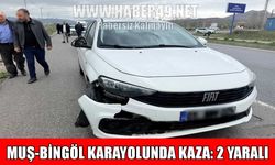 Muş-Bingöl kara yolunda kaza: Amca ve yeğeni yaralandı