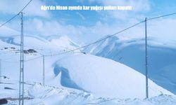 Ağrı'da Köy Yolları Yoğun Çalışma Sonrası Yeniden Ulaşıma Açıldı