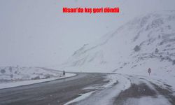 Erzincan’da kar ve tipi hayatı felç etti