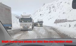 Bingöl-Erzurum kara yolunda ulaşım aksadı