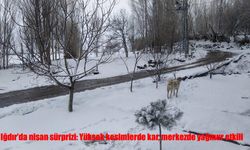 Nisan’da Kış Sürprizi: Iğdır’da Kar ve Yağmur Bir Arada