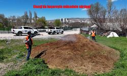 Elazığ’da Haşereyle Mücadele Baharda Yoğunlaştı