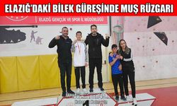 Muşlu Enbiya Akdeniz, bilek güreşinde bölge birincisi oldu