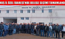 Muş İl Özel İdaresi’nde sendika delege seçimi heyecanı