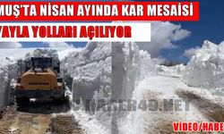 Muş’ta yayla yollarında karla mücadele sürüyor