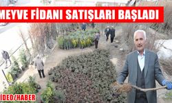 Muş’ta meyve fidanı satışları başladı: 30 çeşit ürün tezgâhlarda yerini aldı