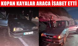 Muş-Kulp karayolunda kayalar yola indi: 4 kişilik aile facianın eşiğinden döndü