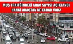 Muş'ta trafiğe kayıtlı araç sayısı arttı