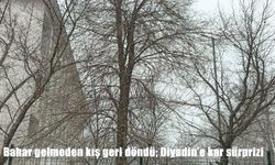 Nisan ortasında kar sürprizi: Diyadin beyaza büründü