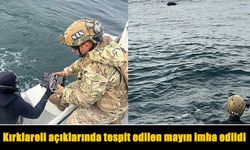 Kırklareli açıklarında tespit edilen mayın imha edildi