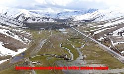 Bitlis'te doğa canlandı