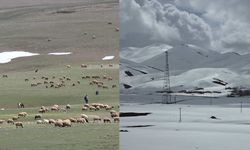 Van’da Nisan Sürprizi: Kış ve Bahar Bir Arada