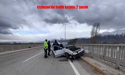Erzincan’da feci kaza: 2 yaralı