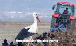 Meteorolojiden Zirai Don Uyarısı