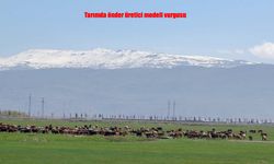 Erzurum’da İklim Değişikliği Araştırmasından Dikkat Çeken Sonuçlar