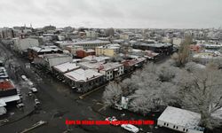 Kar yağışı ve soğuk hava doğayı beyaza bürüdü