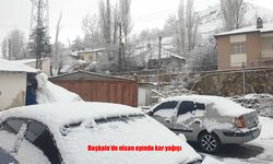 Başkale’de nisan ayında kar yağışı hayatı olumsuz etkiledi