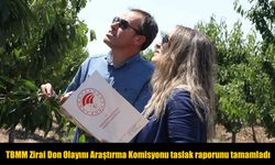 Zirai Don Olayı İçin 420 Sayfalık Meclis Raporu Tamamlandı