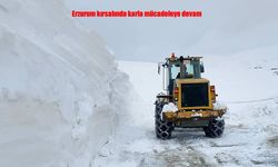 Erzurum kırsalında karla mücadele sürüyor