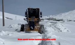 Adilcevaz​​​​​​​'da  kapanan köy yolları yeniden açıldı