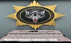 Malatya'da uyuşturucu operasyonu: 2 gözaltı