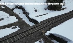 Kars’ta drone ile karşılaşan boz ayı kamerada