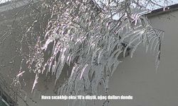 Ardahan’da Eksi 10 Derecede Doğa Buzla Kaplandı