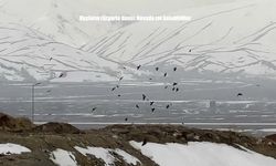 Hakkari’de doğanın sert yüzü