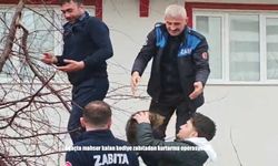 Ağaçta mahsur kalan kedi ekipleri harekete geçirdi