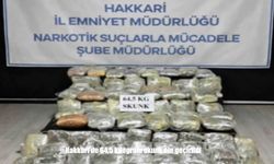 Hakkari’de Zehir Tacirlerine Darbe