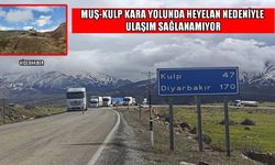 Muş-Kulp yolu heyelan nedeniyle kapandı