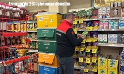 Erzurum’da 261 işletmeye denetim