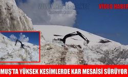 Muş’ta Nisan sonunda yol açma seferberliği