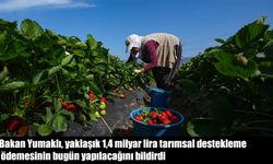 Bakan Yumaklı müjdeyi verdi: 1,3 milyar TL destek ödemesi hesaplarda