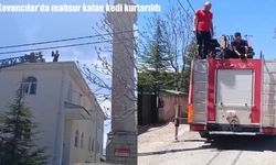 Kovancılar'da mahsur kalan kedi kurtarıldı