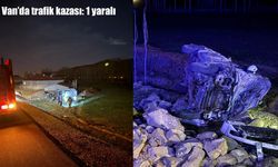 Van'da kamyonet şarampole yuvarlandı: 1 yaralı