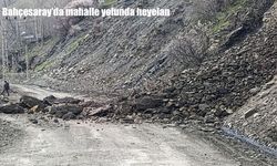 Van'da yağış sonrası heyelan