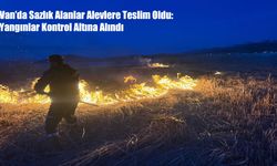 Van’da sazlık alanlar alevlere teslim oldu: Yangınlar kontrol altına alındı