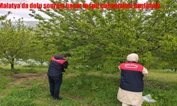 Malatya'da dolu sonrası hasar tespit çalışmaları başlatıldı