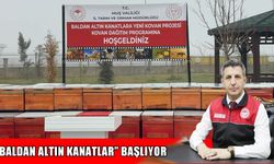 Muş’ta 100 kadın üreticiye arı ve kovan verilecek